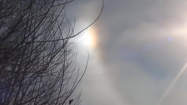 Записи с Видео Камер Которые Никто Не Смог