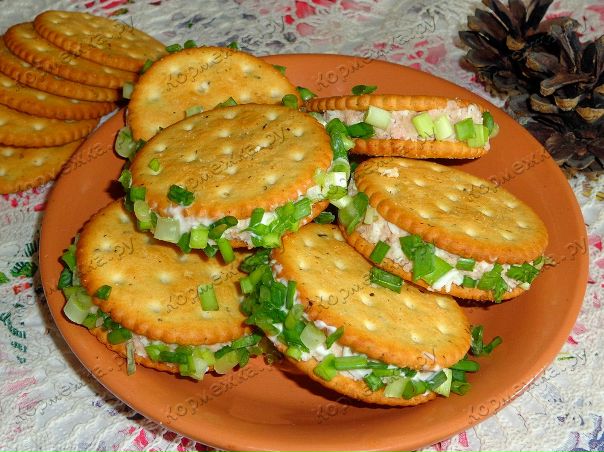 крекеры. закуска на крекерах. бутерброды на крекере. закуска из крекера.