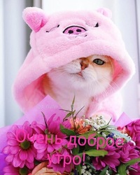 Вика Кочеткова