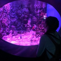 Светлана Ермилова | 