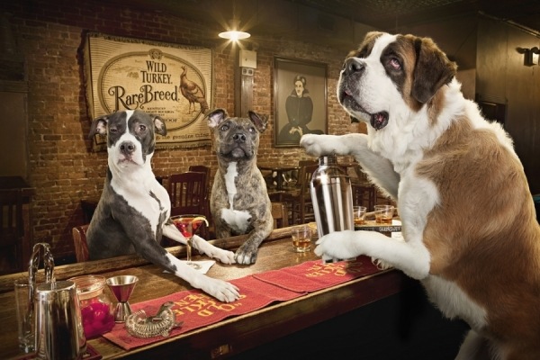 №63, Артём Зеленский №63, Артём Зеленский