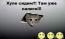 Фотография Константин Прокопенко