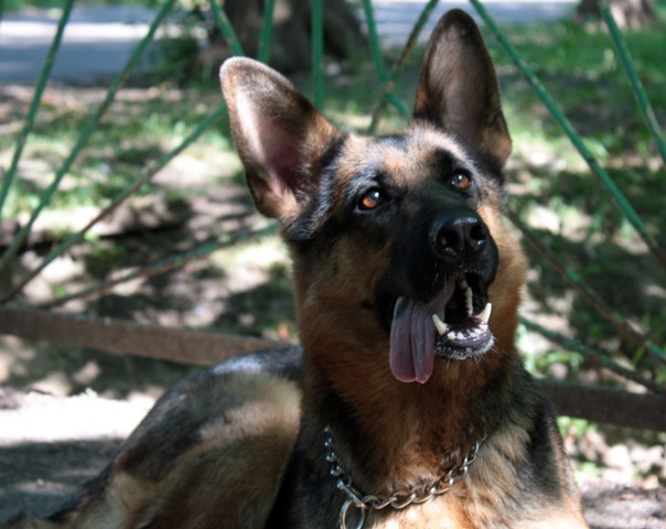 №50, Серий Теренкевич, Одесса №50, Серий Теренкевич, Одесса