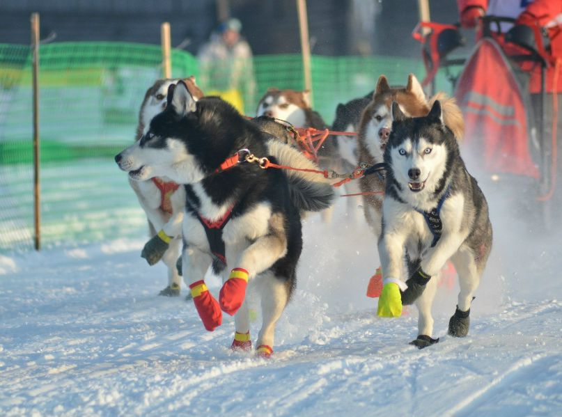 Константин Тихомиров | Неверово