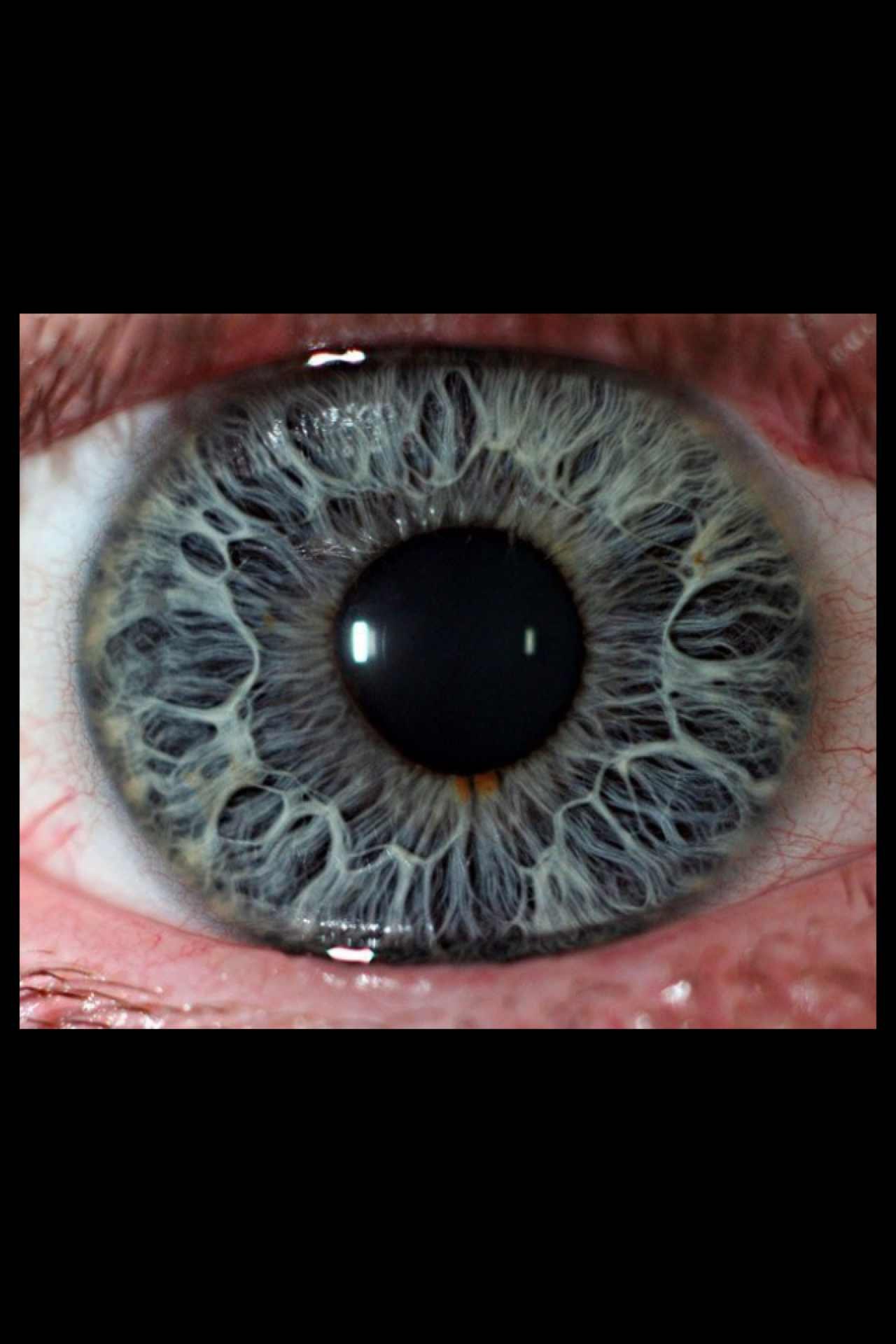 Алексей Козлов | Санкт-Петербург