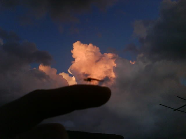 Александр Репей | Винница