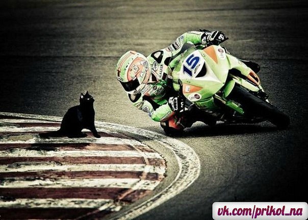 Евгений Шорников **Шорох** | Ульяновск