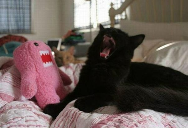 №18, Денис Свереда, 37 лет, Харьков №18, Денис Свереда, 37 лет, Харьков