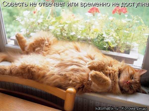 Наталья Карпова | Санкт-Петербург