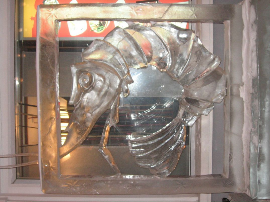 Евгений Задорожный | Санкт-Петербург