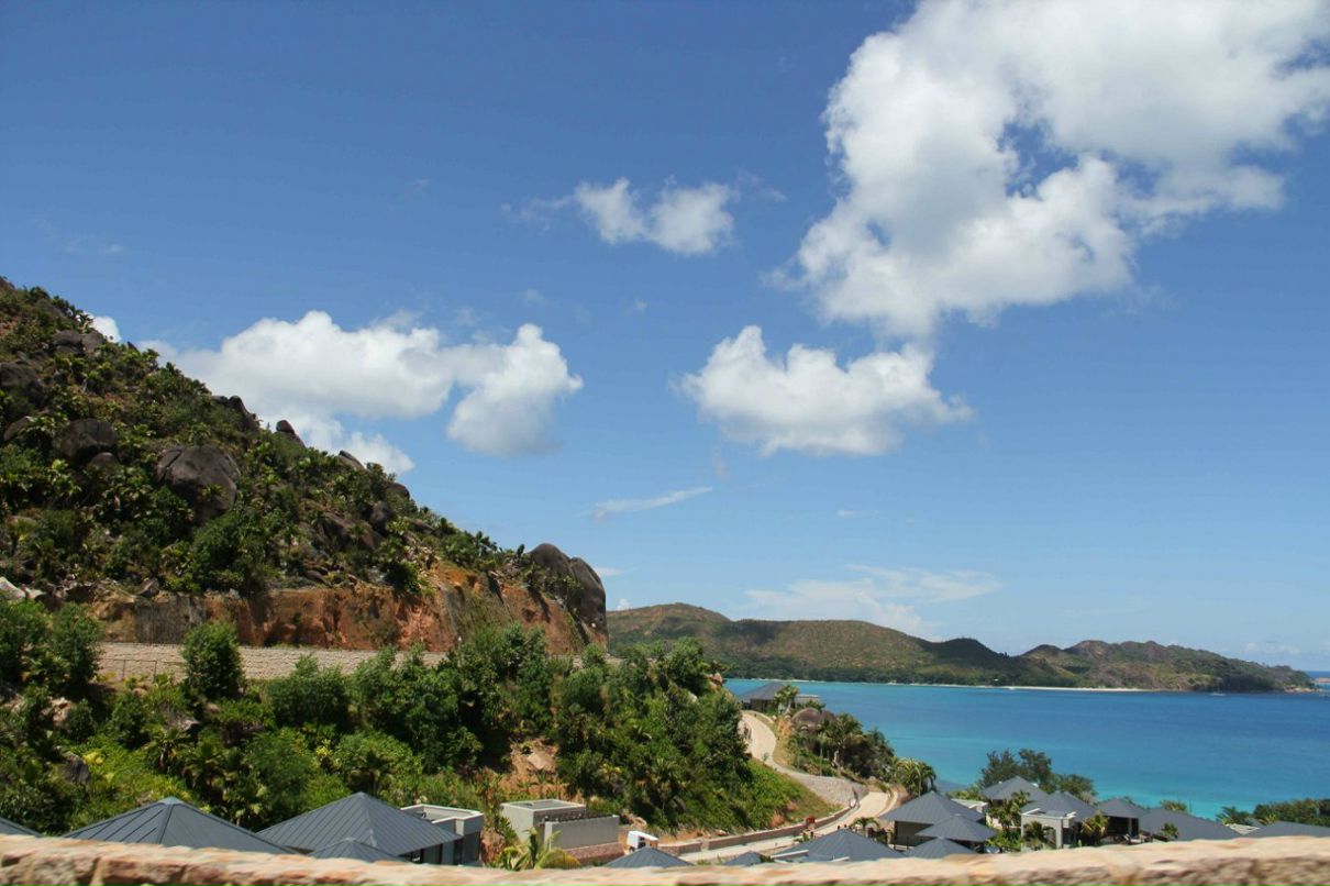 Лилия Семенкова | Санкт-Петербург