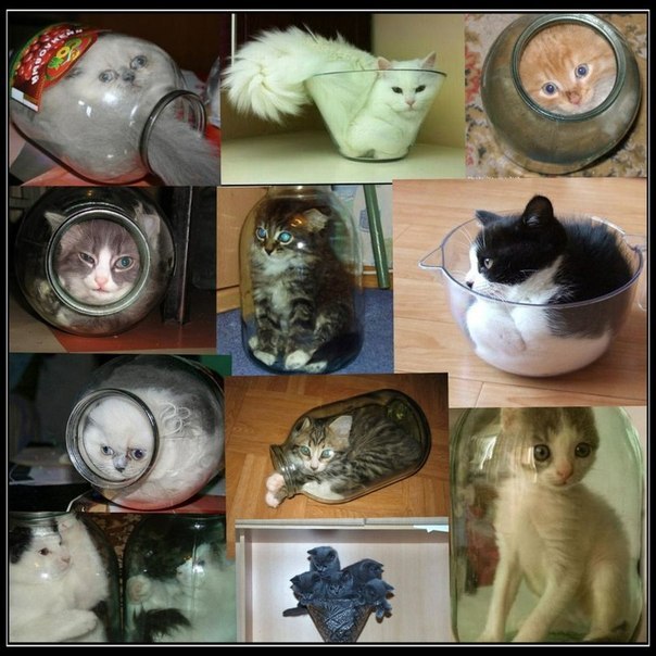 Наталья Демьянюк | Санкт-Петербург