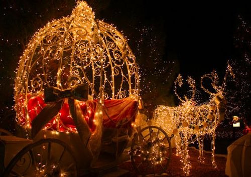 Виктория Георгиева | Одесса