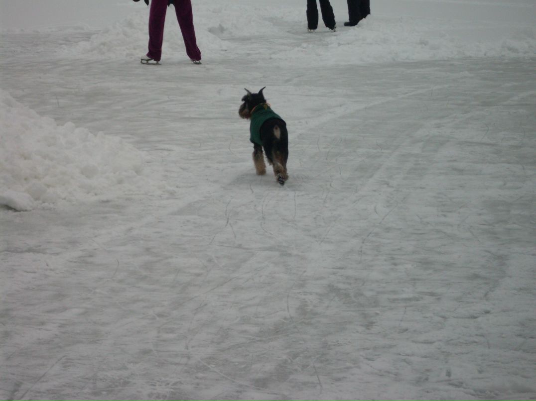 Людмила Гуркина | Москва