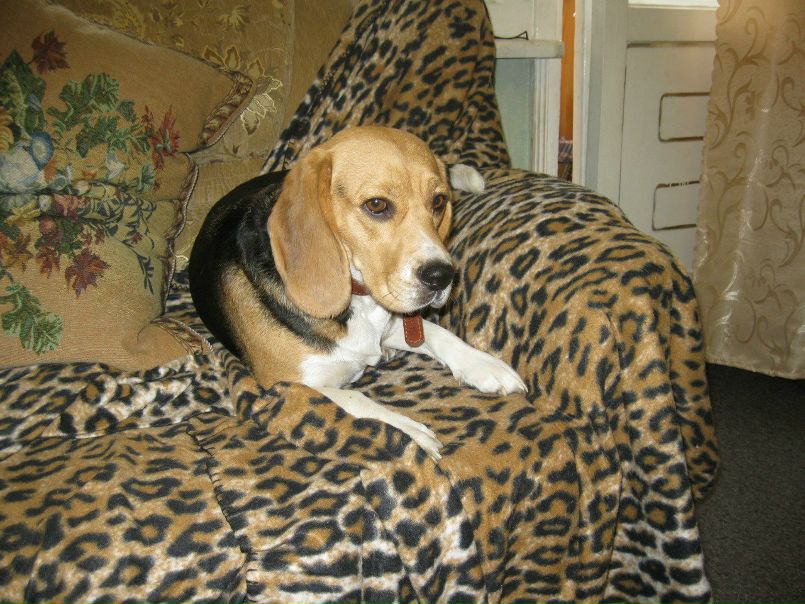 №85, Николай Кардаков, 77 лет, Нижневартовск №85, Николай Кардаков, 77 лет, Нижневартовск