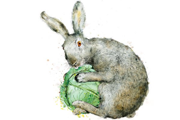 Роман Ронько | Москва