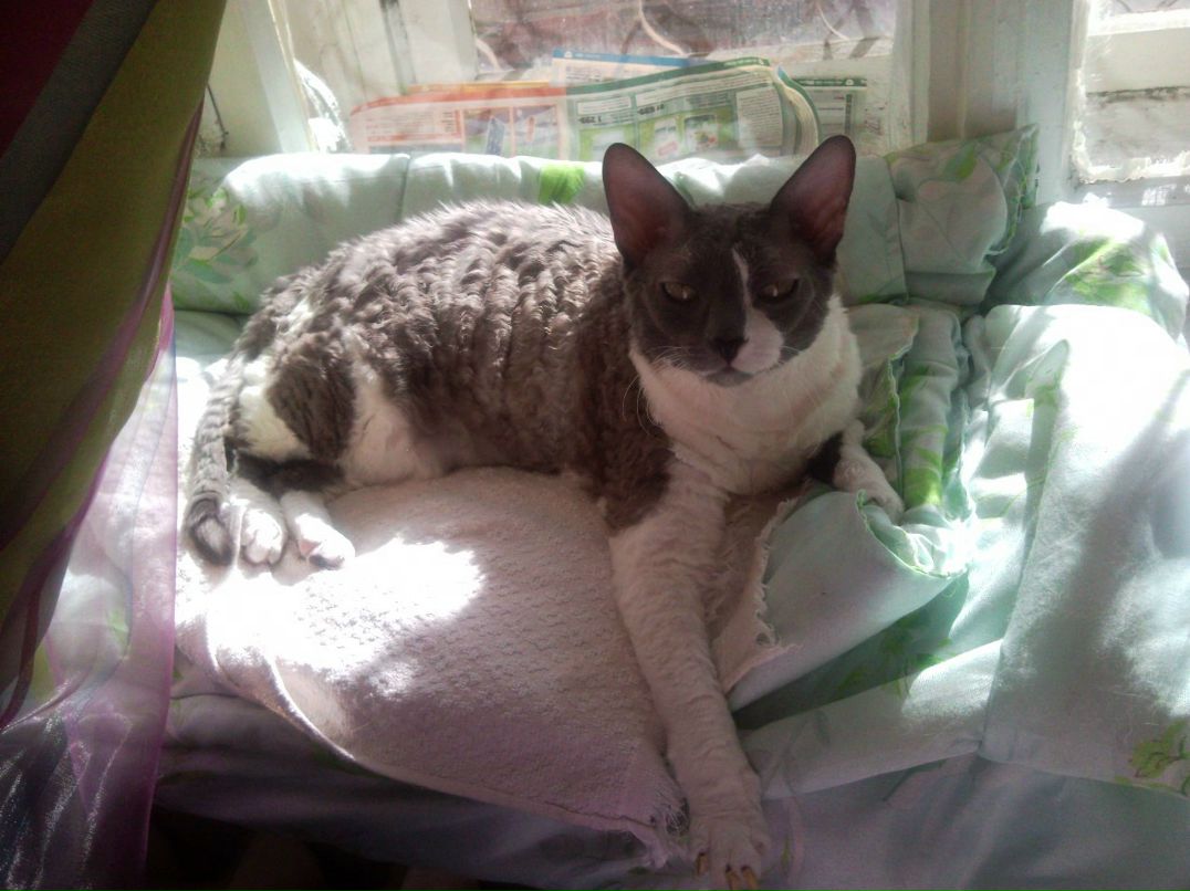 Надежда Ножова | Санкт-Петербург