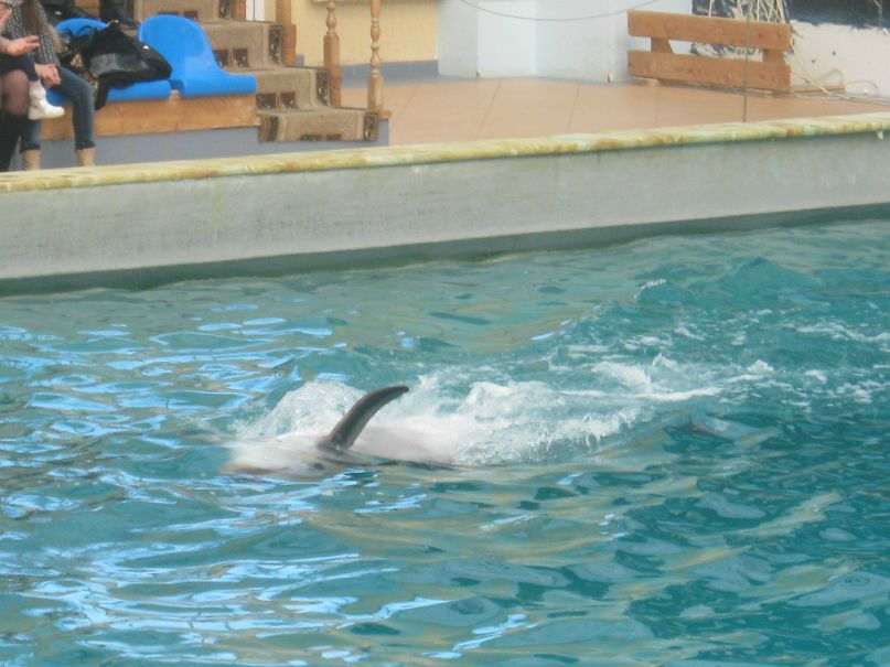 Альбина Рыченкова | Крестцы