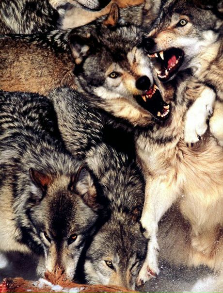 №75, Саша Шуклина, Москва №75, Саша Шуклина, Москва