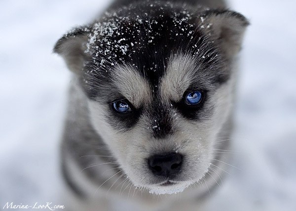 №64, Алина Кузьменко №64, Алина Кузьменко