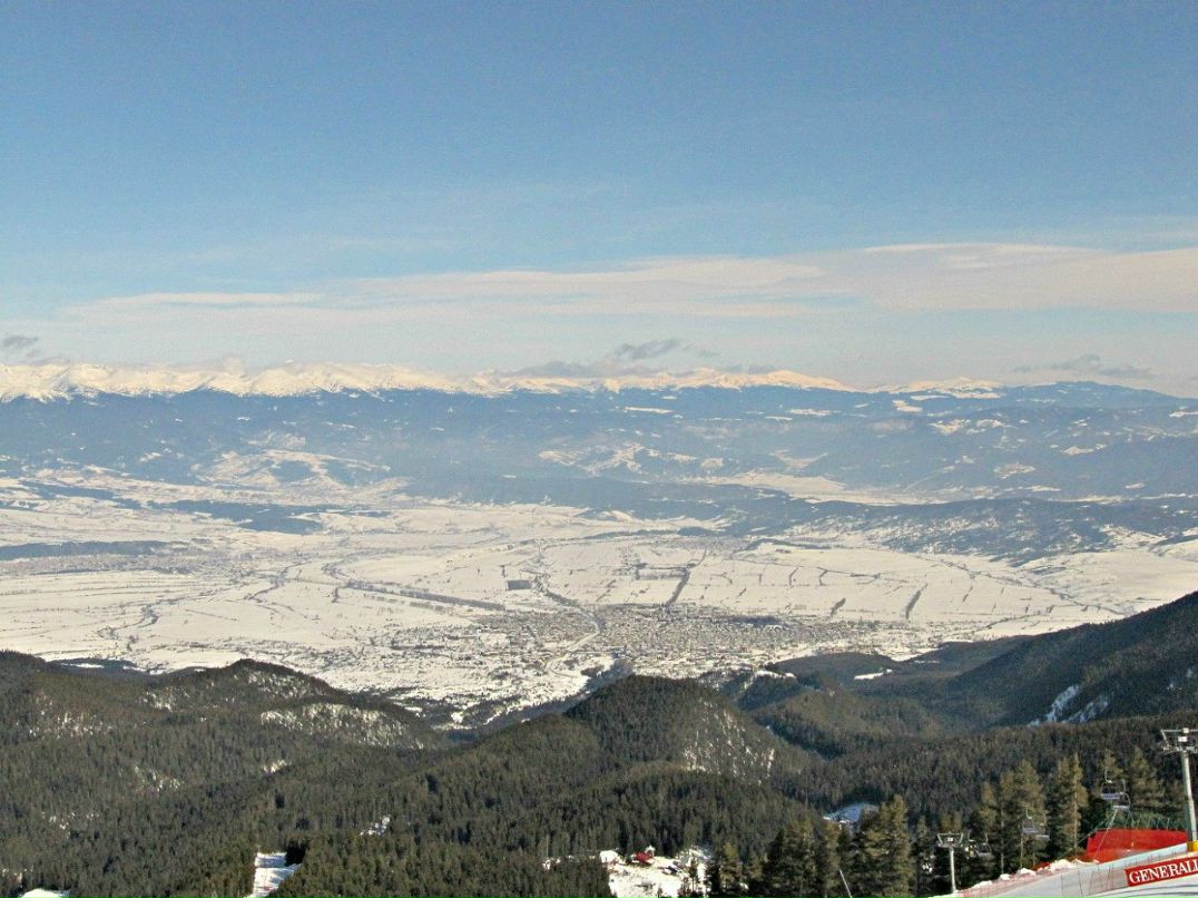 Mary Vtulkina *violet* | Люберцы