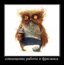 Фотография Федотова Александра