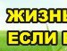 Денис Башлыков | Нижнекамск