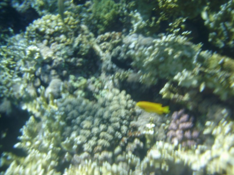 Олег Владимирович | Одесса