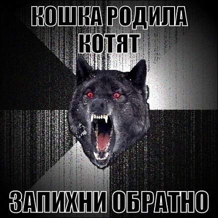 №101, Александр Шиян №101, Александр Шиян