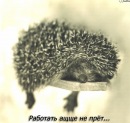 №31 Наталия Аршанская