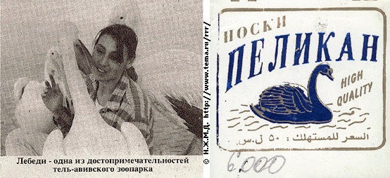 №183, Ольга Бестужева, 40 лет, Санкт-Петербург №183, Ольга Бестужева, 40 лет, Санкт-Петербург