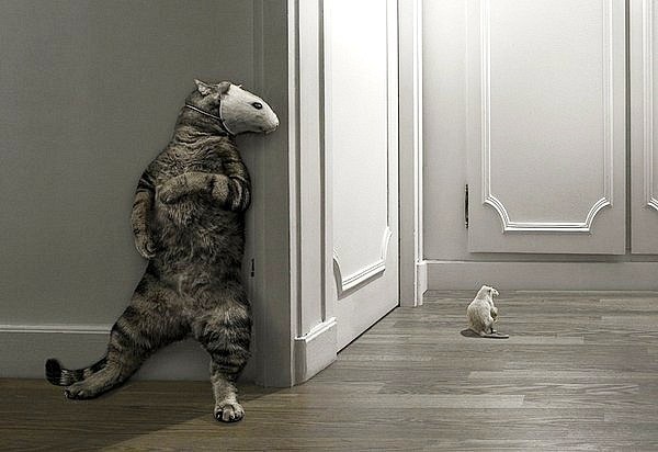 Регина Якубова | 