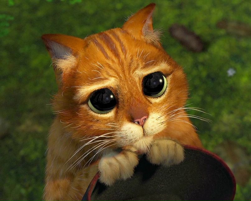 Александр Сакмаркин | Москва