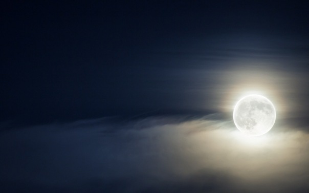 №36, Мехман Усубов, Баку №36, Мехман Усубов, Баку