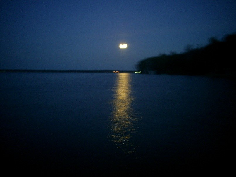 Сергей Острижников Izzi | Екатеринбург