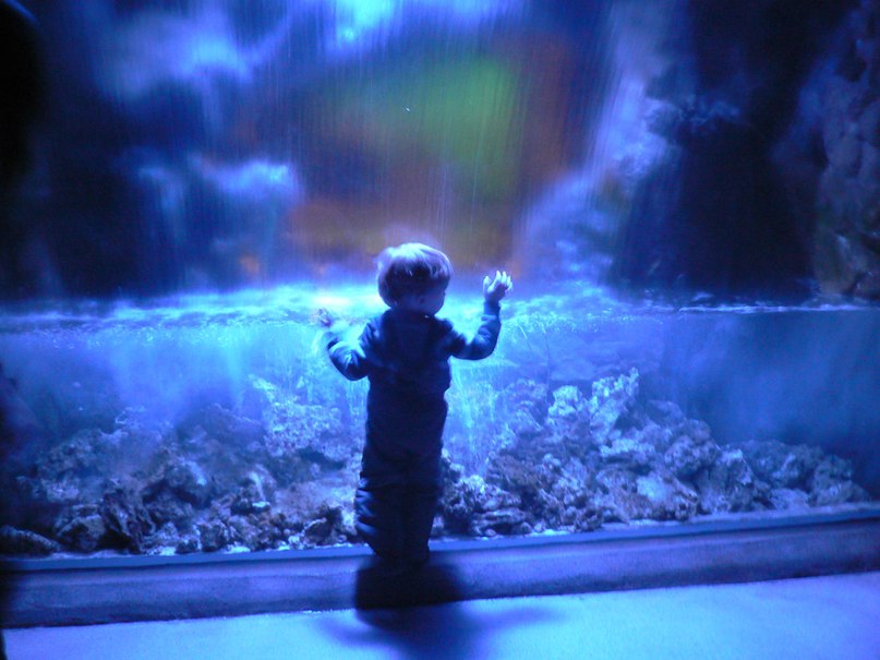 Алина Наумкина | Санкт-Петербург