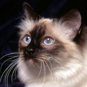 Step Up !!and!! | Харьков