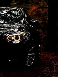 Саша Юнг | Балахта