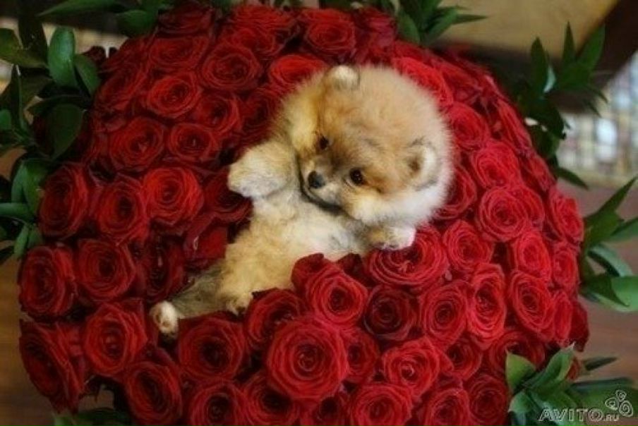 №197, Алёночка Горбуненко, 03.09.1991, Одесса №197, Алёночка Горбуненко, 03.09.1991, Одесса