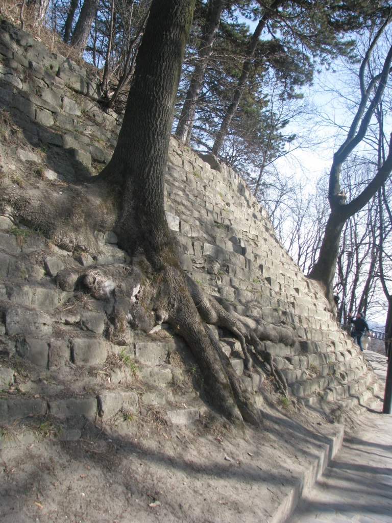 Анна Бовтун | Киев