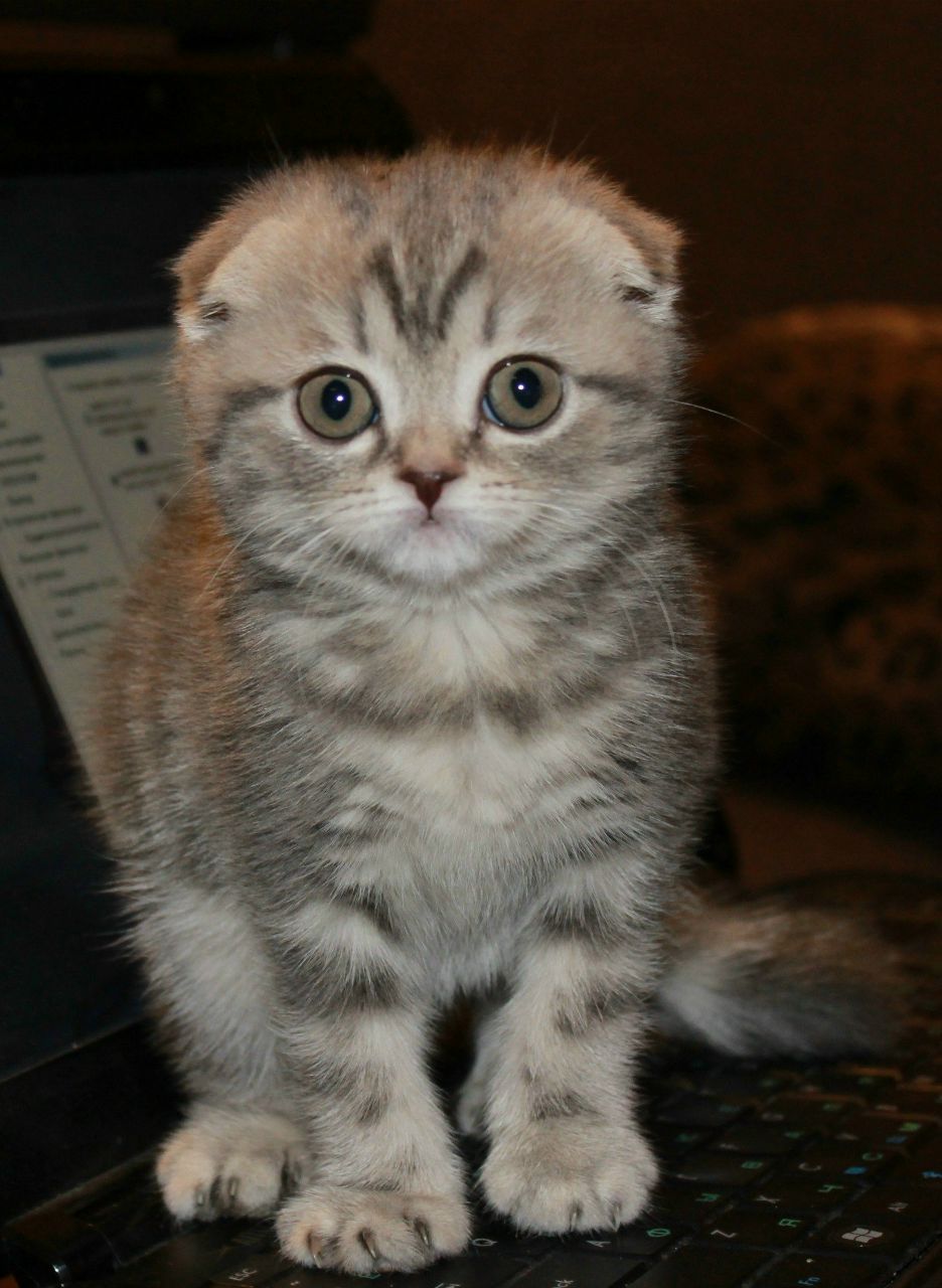 Алина Татаринцева | Екатеринбург