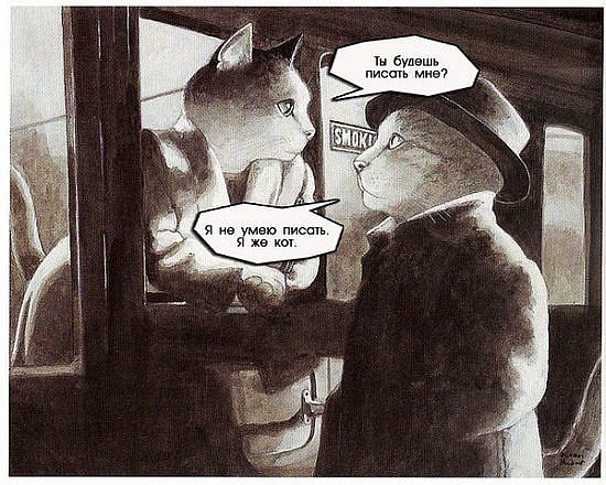 №19, Илья Завальнюк, Калининград №19, Илья Завальнюк, Калининград