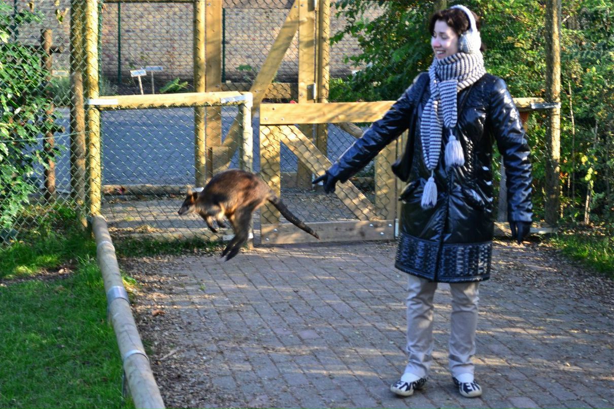 Ксения Виват | Москва