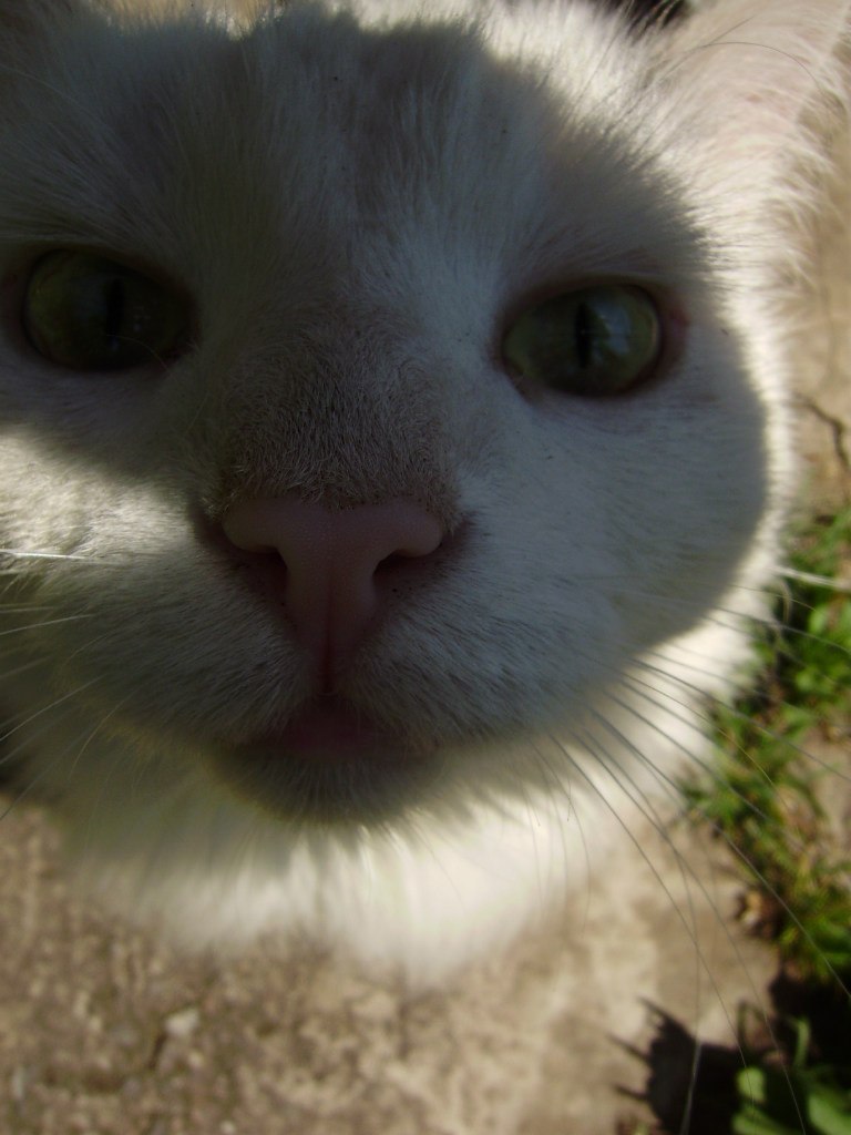 Даша Бастрыкина | Тверь