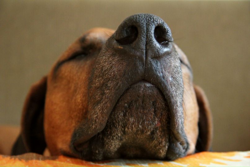 Varu Sha Waru | Санкт-Петербург