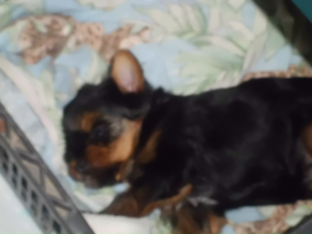 Лёха Гилинский | Челябинск