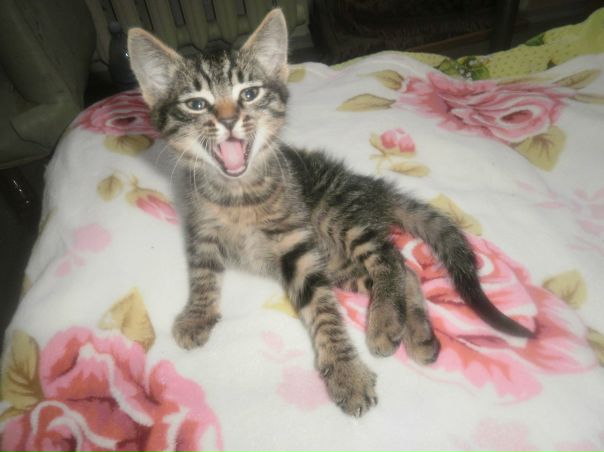 №57, Тина Никипчук, 37 лет, Севастополь №57, Тина Никипчук, 37 лет, Севастополь