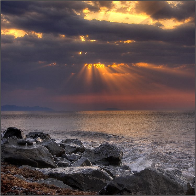 Ольга Teyry | Санкт-Петербург