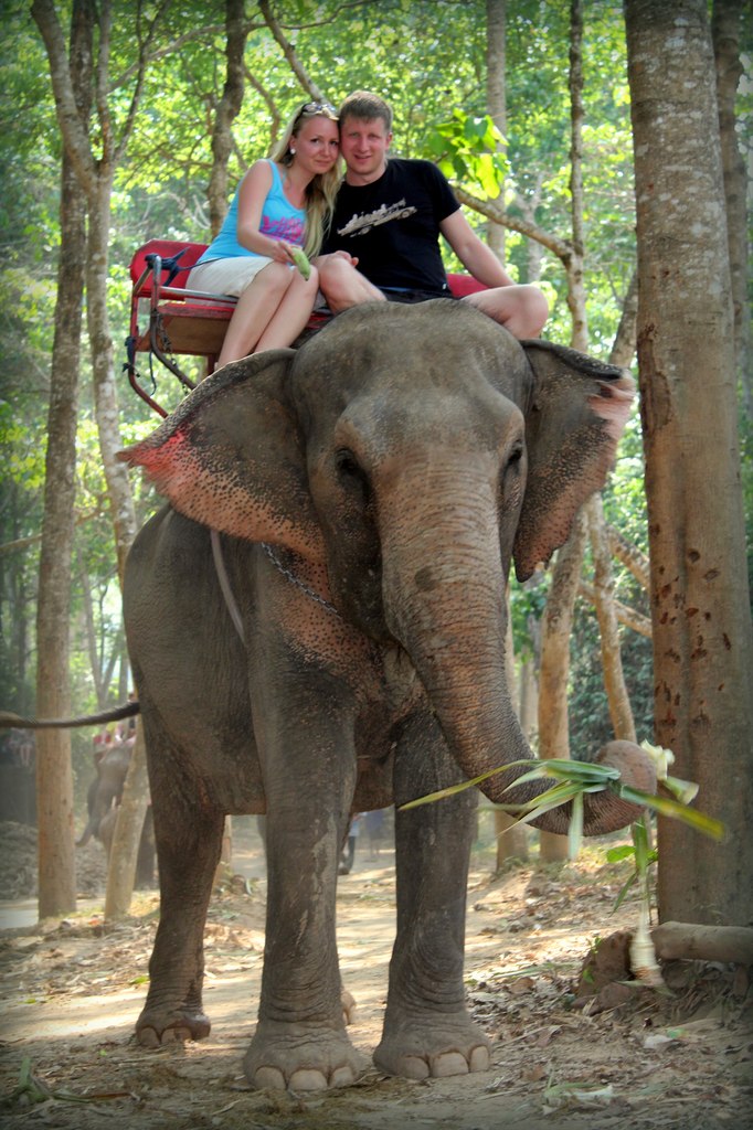 Татьяна Калинина | Выборг