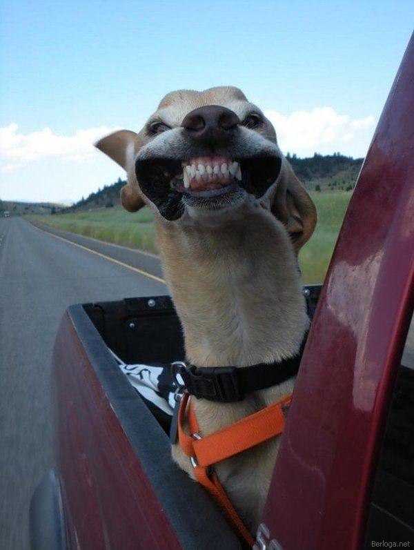 Андрей Чавгун DUSTY KID | 